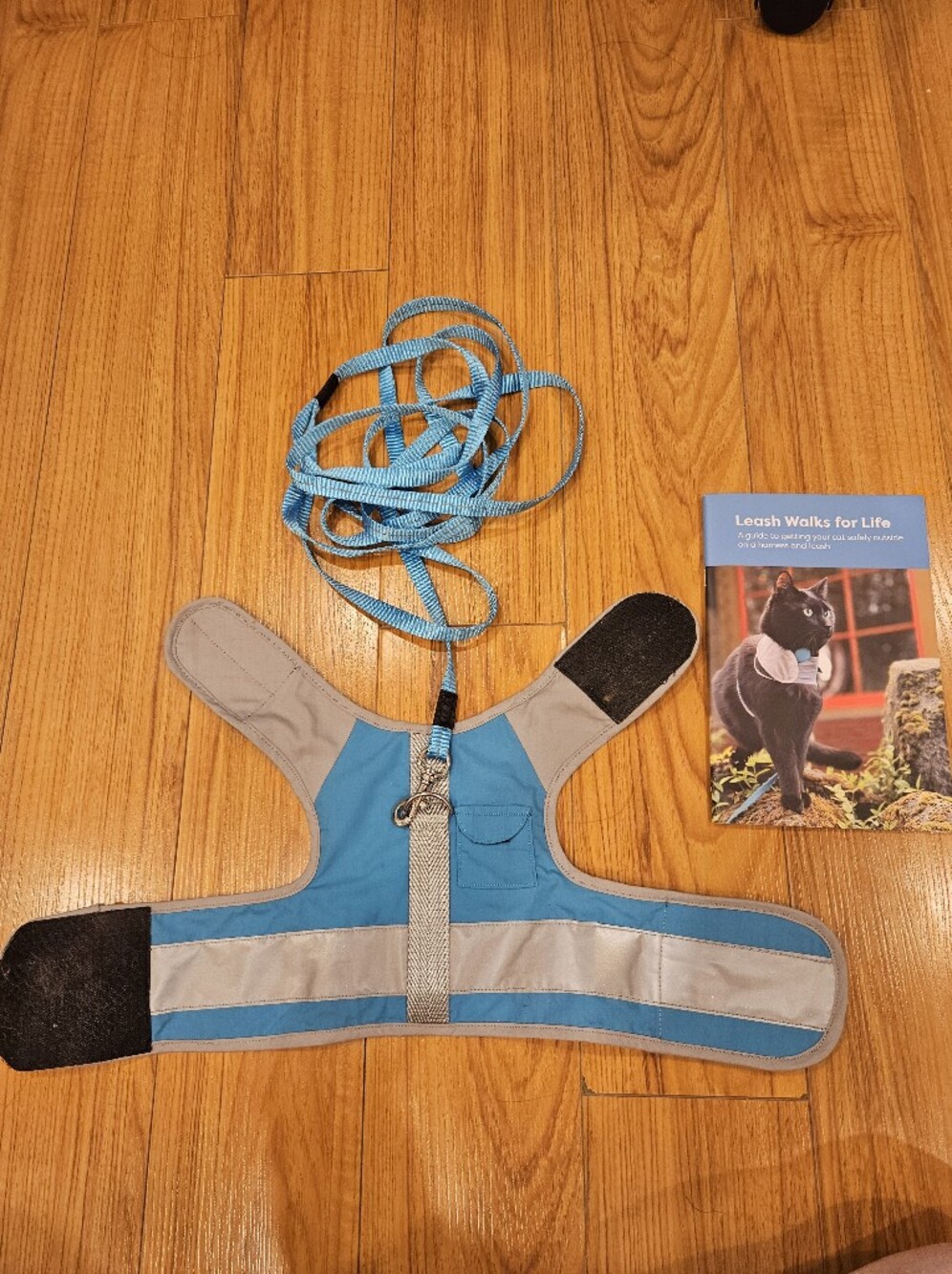 Reflective Cat Harness and Leash Set By Cat School Size S/M